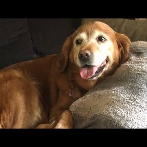 Meet your Posher, Karen